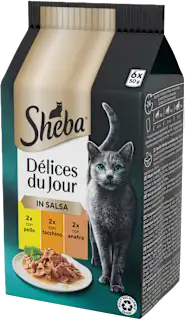 Cbo umido per gatti Délices du Jour gusto carne, 300 g