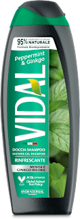 Doccia shampoo uomo alla menta e ginkgo, 250 ml
