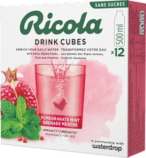 Drink Cubes melagrana e menta, 25,8 g