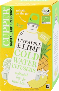 Infuso freddo Ananas e Lime BIO, 27 g