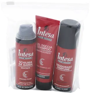 Set da viaggio deodorante, schiuma da barba e gel doccia shampoo, 3 pz
