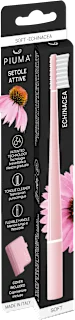 Spazzolino Echinacea, 1 pz