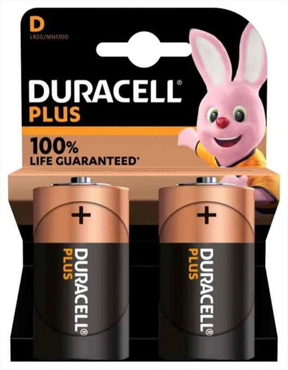 DURACELL - DURACELL PLUS 100 TORCIA(D) 2 PEZZI BLISTER MN1300