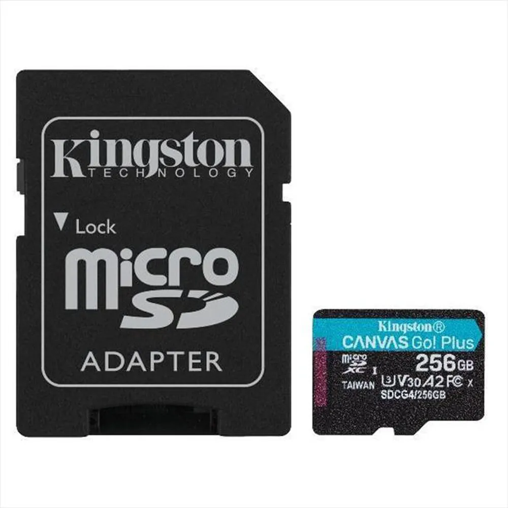 KINGSTON - Micro SD SDCG4256GB-Nero