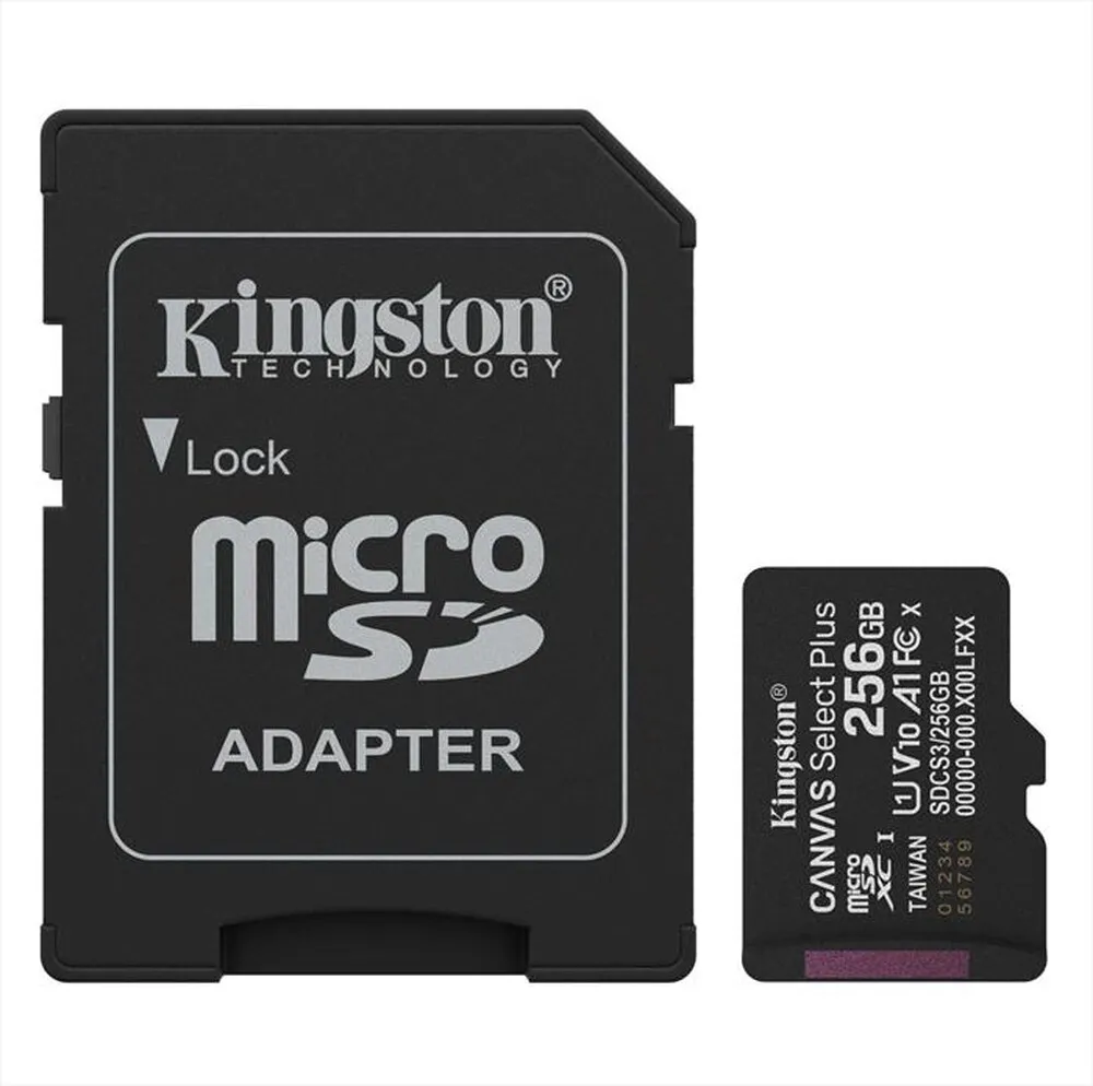 KINGSTON - Scheda di memoria SDCS3/256GB-Nero