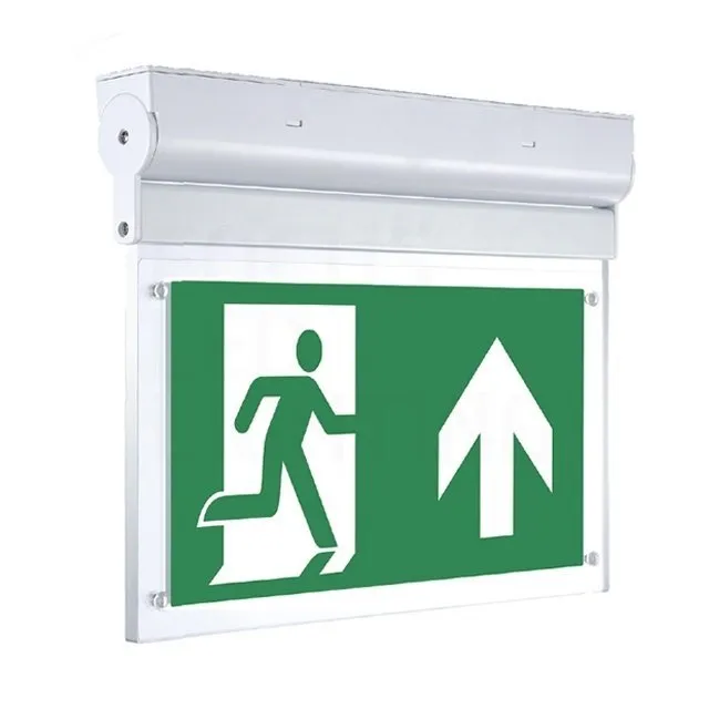 Lampada di Emergenza LED da soffitto - Inclinabile - con il pulsante di prova IP20 – 2W