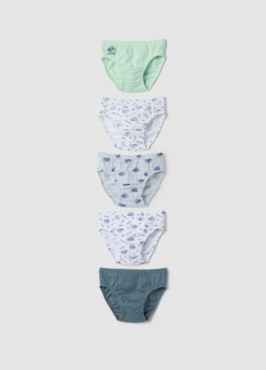 Multipack di cinque slip multicolor in puro cotone organico con fantasia koala