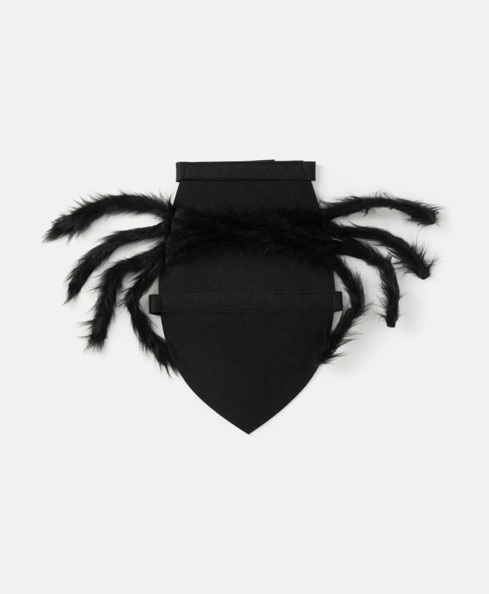 Costume da ragno per cane per Halloween