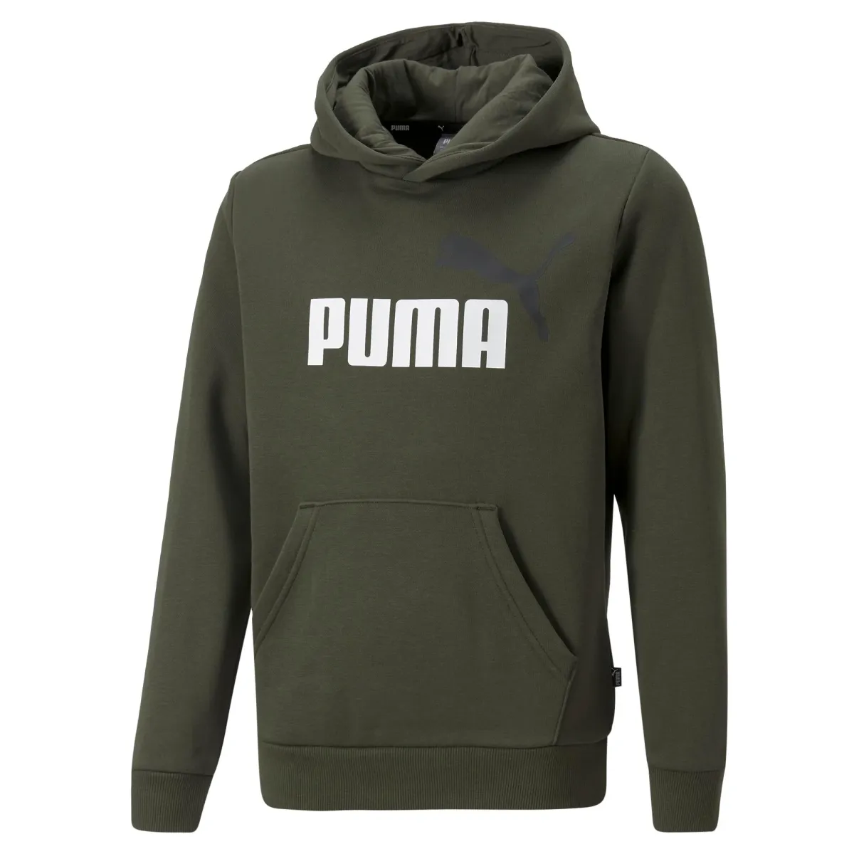 Felpa con cappuccio verde da bambino Puma Essentials+ 2 Two-Tone Big Logo